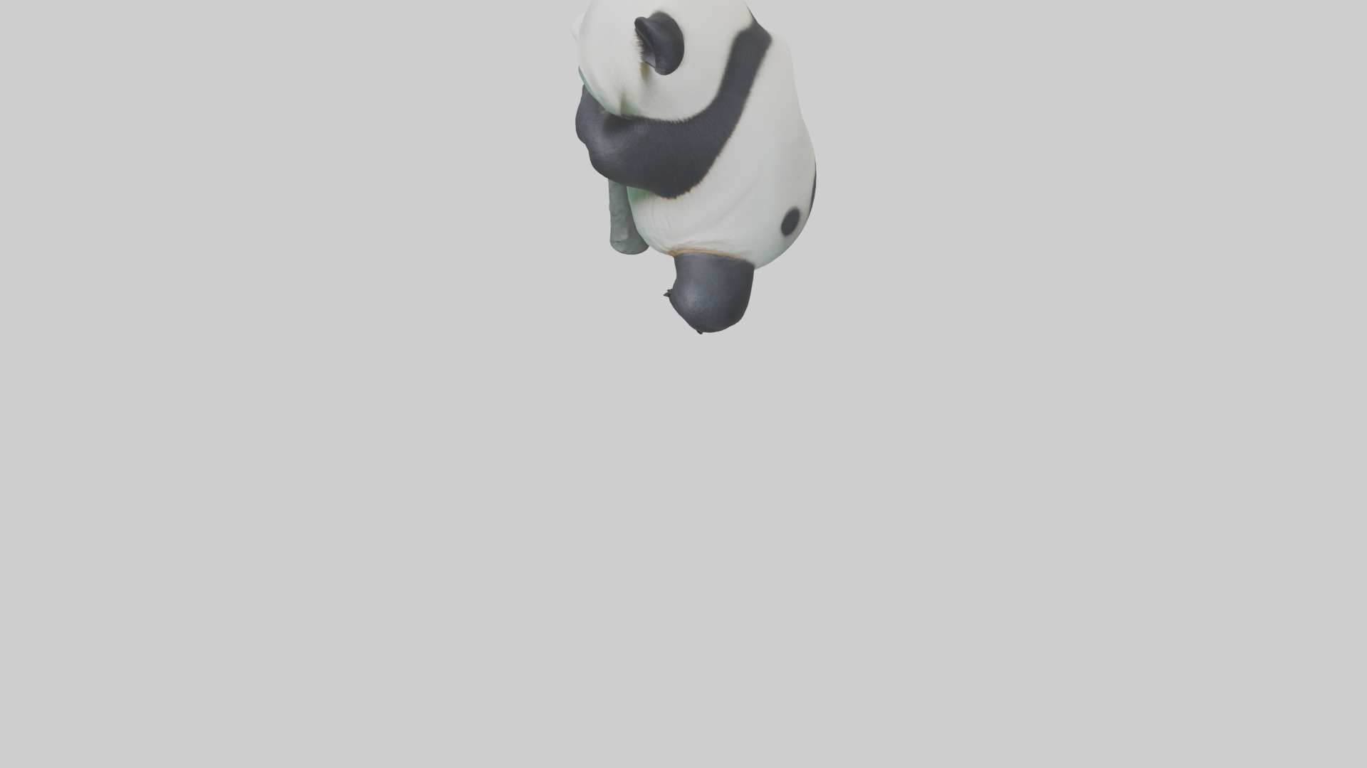Giant Panda climbing model Low-poly 3D model_5