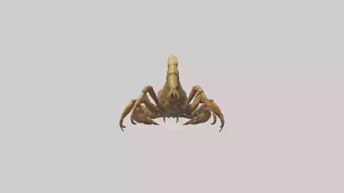 Giant Scorpion model Low-poly 3D model