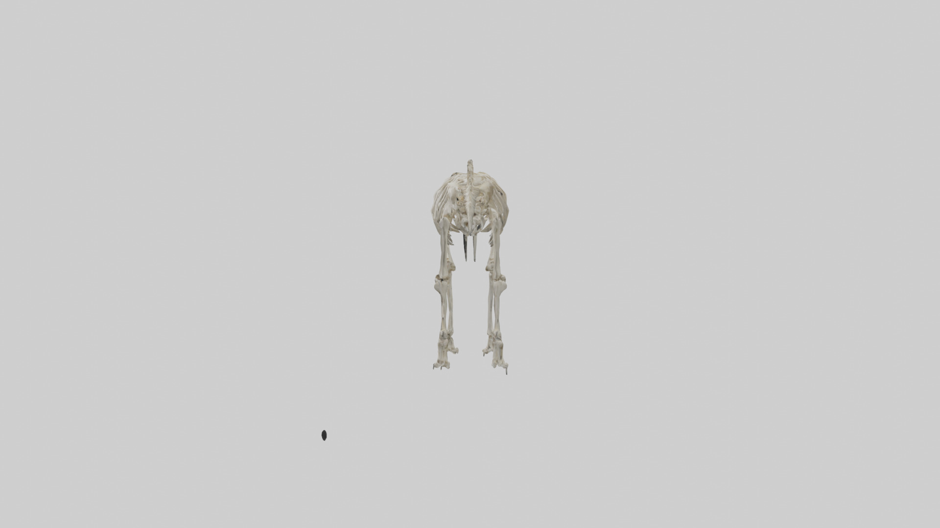 Giant Sloth Skeleton model Low-poly 3D model_12