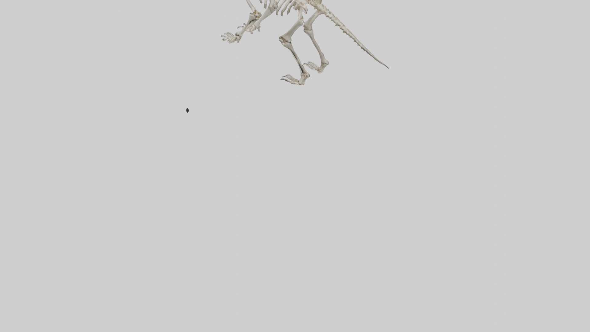 Giant Sloth Skeleton model Low-poly 3D model_5