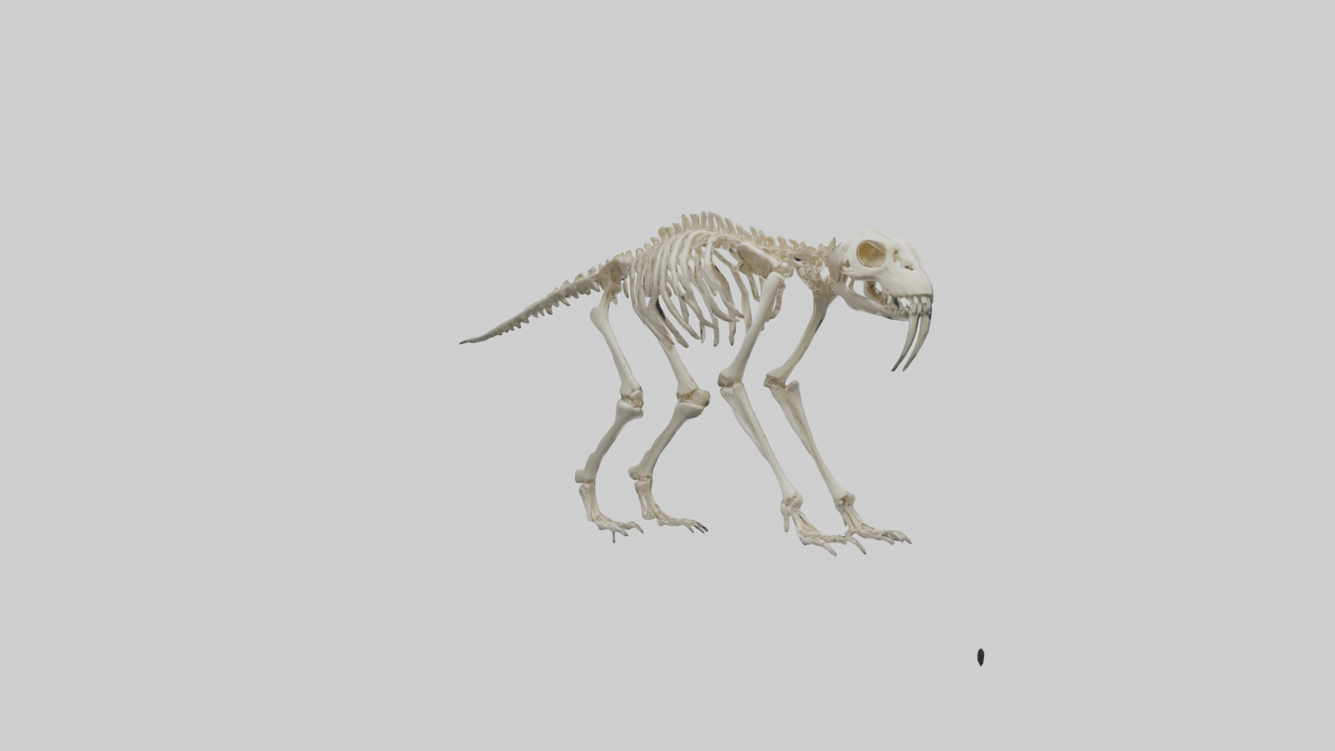 Giant Sloth Skeleton model Low-poly 3D model_2
