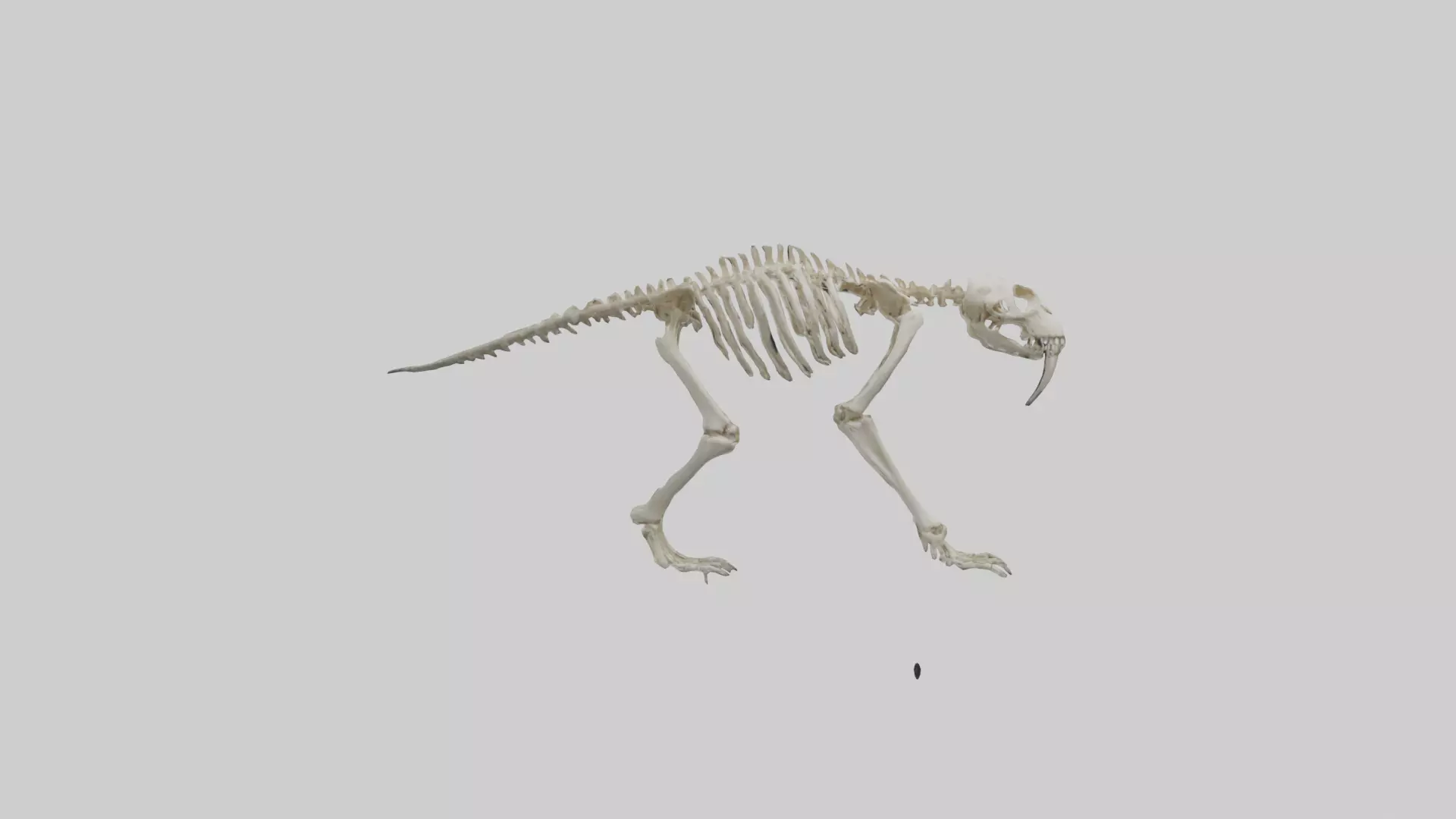 Giant Sloth Skeleton model Low-poly 3D model_0