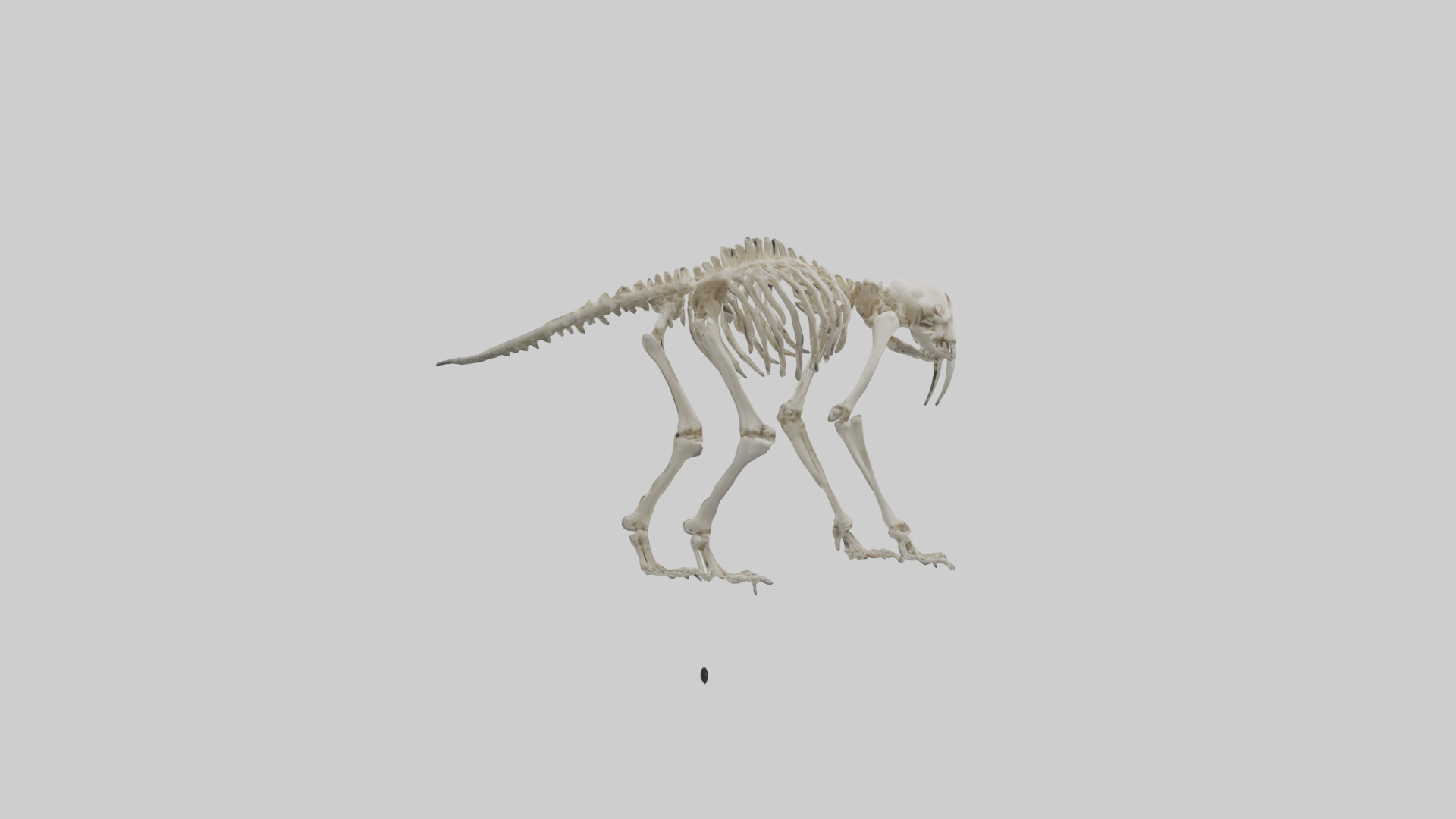 Giant Sloth Skeleton model Low-poly 3D model_1