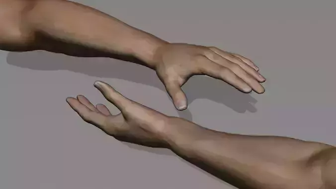 Realistic highly detailed rigged human hands 