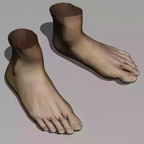 Realistic highly detailed human Feet