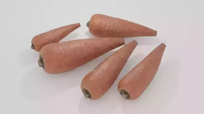 Realistic highly detailed carrots