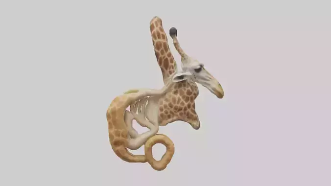 Giraffe Digestive System Low-poly 3D model
