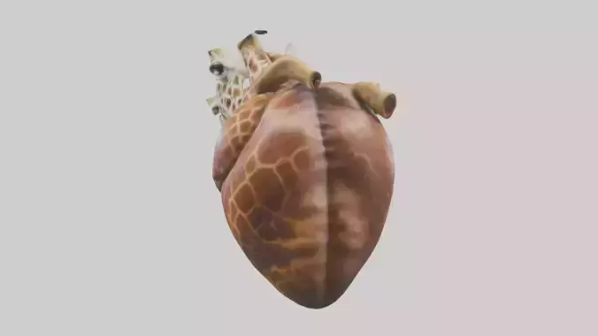 Giraffe Heart Low-poly 3D model