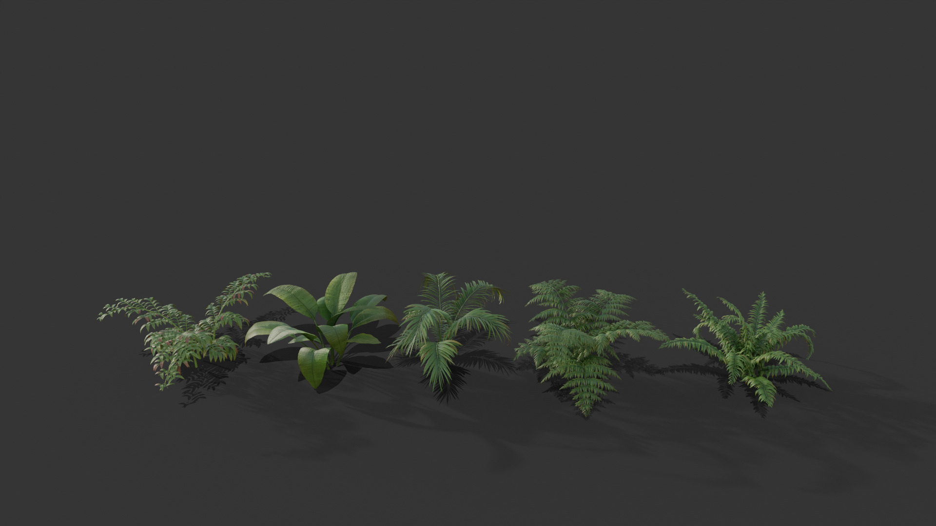plant shrub 3D model_2