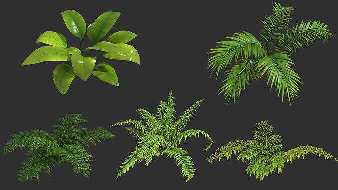 plant shrub 3D model