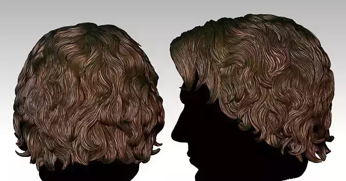 3D Hair style for Man V13 3D print model