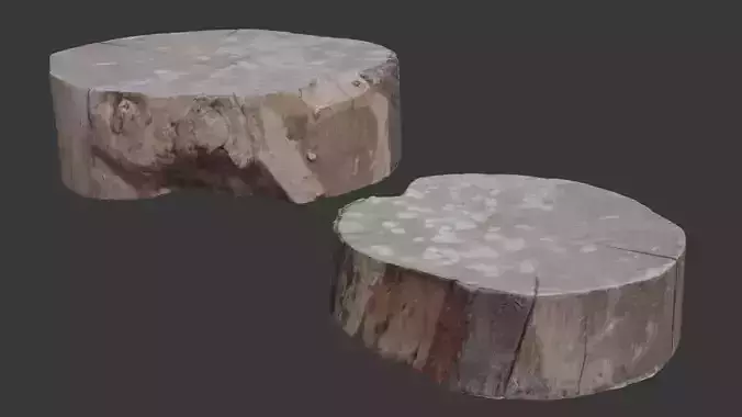 Tree Trunk Stump  3D Scanned Low-Poly Model Low-poly 3D model