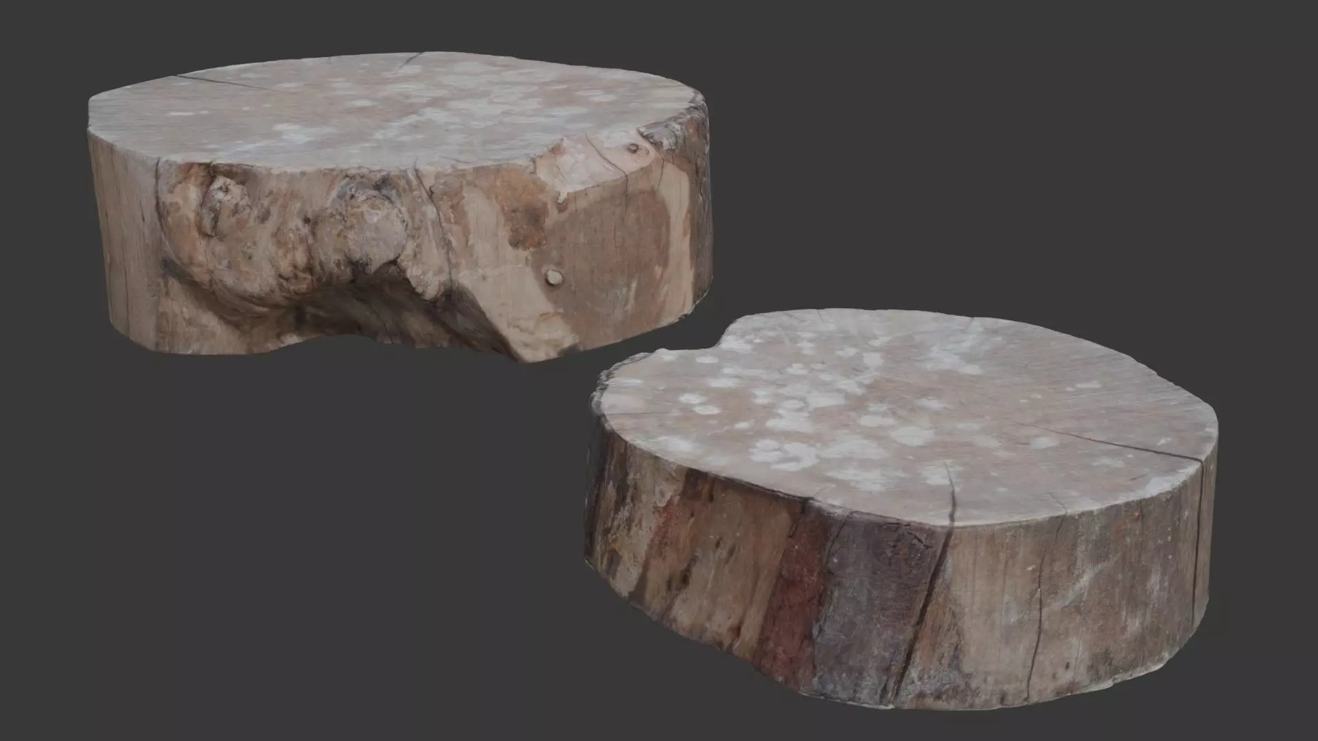 Tree Trunk Stump  3D Scanned Low-Poly Model Low-poly 3D model_0