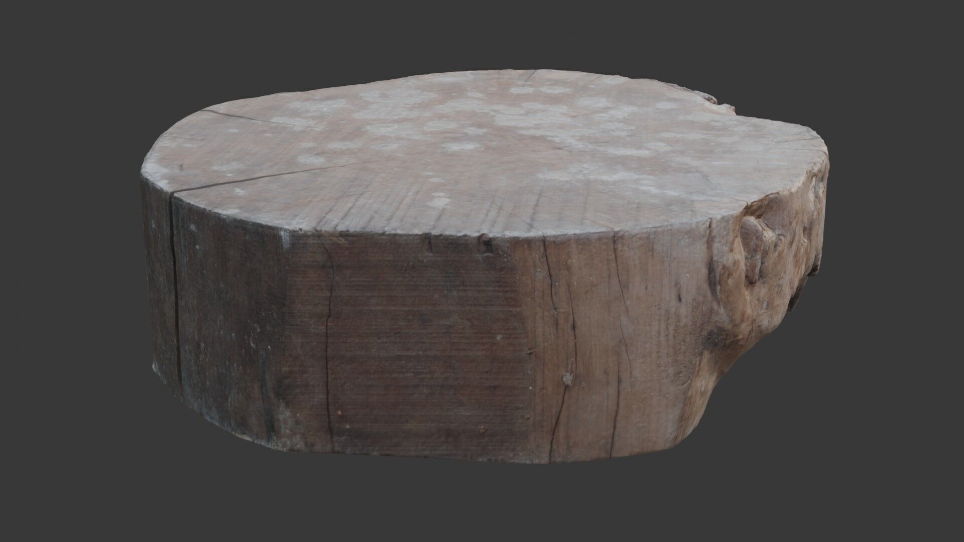 Tree Trunk Stump  3D Scanned Low-Poly Model Low-poly 3D model_4