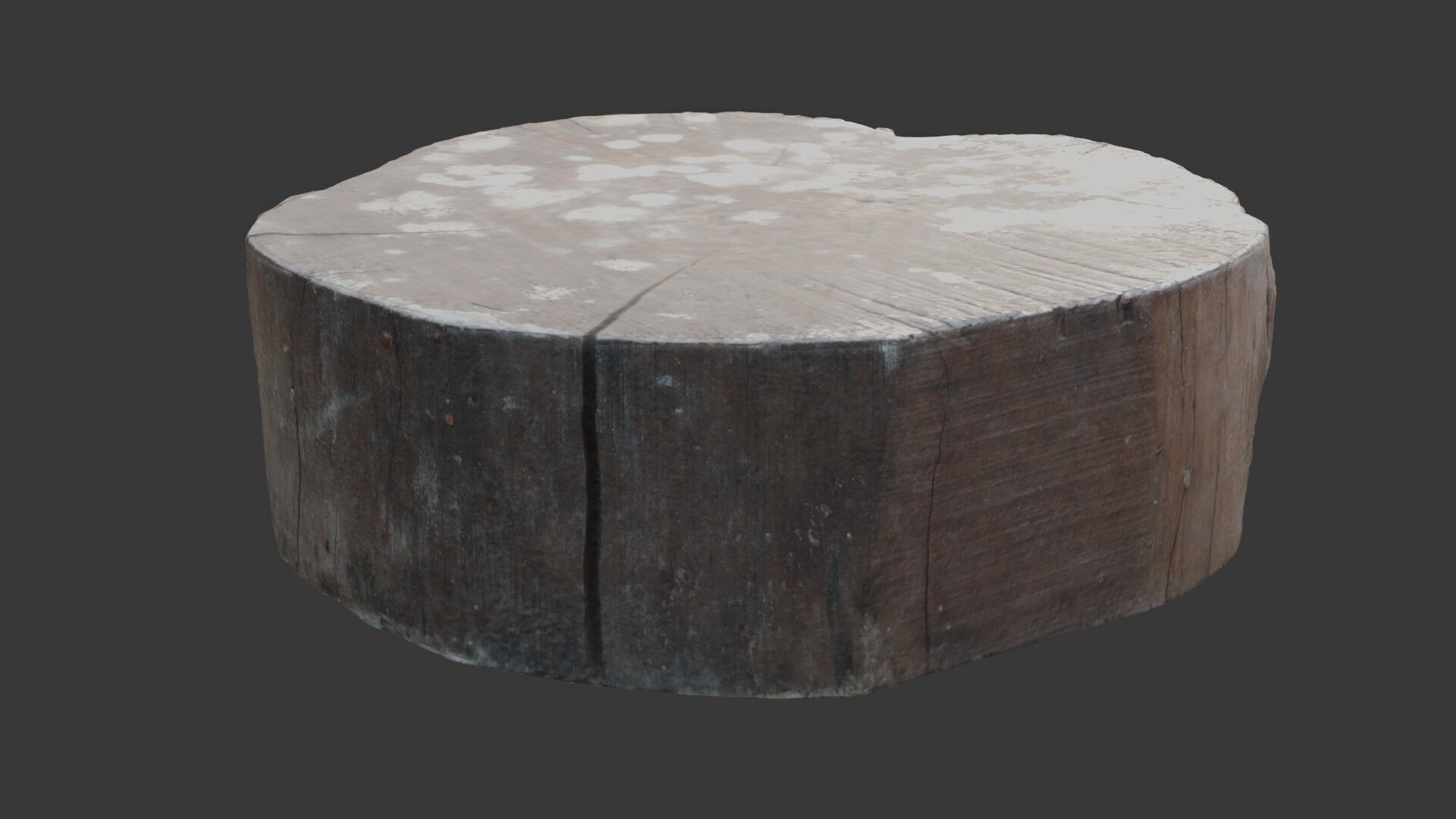 Tree Trunk Stump  3D Scanned Low-Poly Model Low-poly 3D model_5