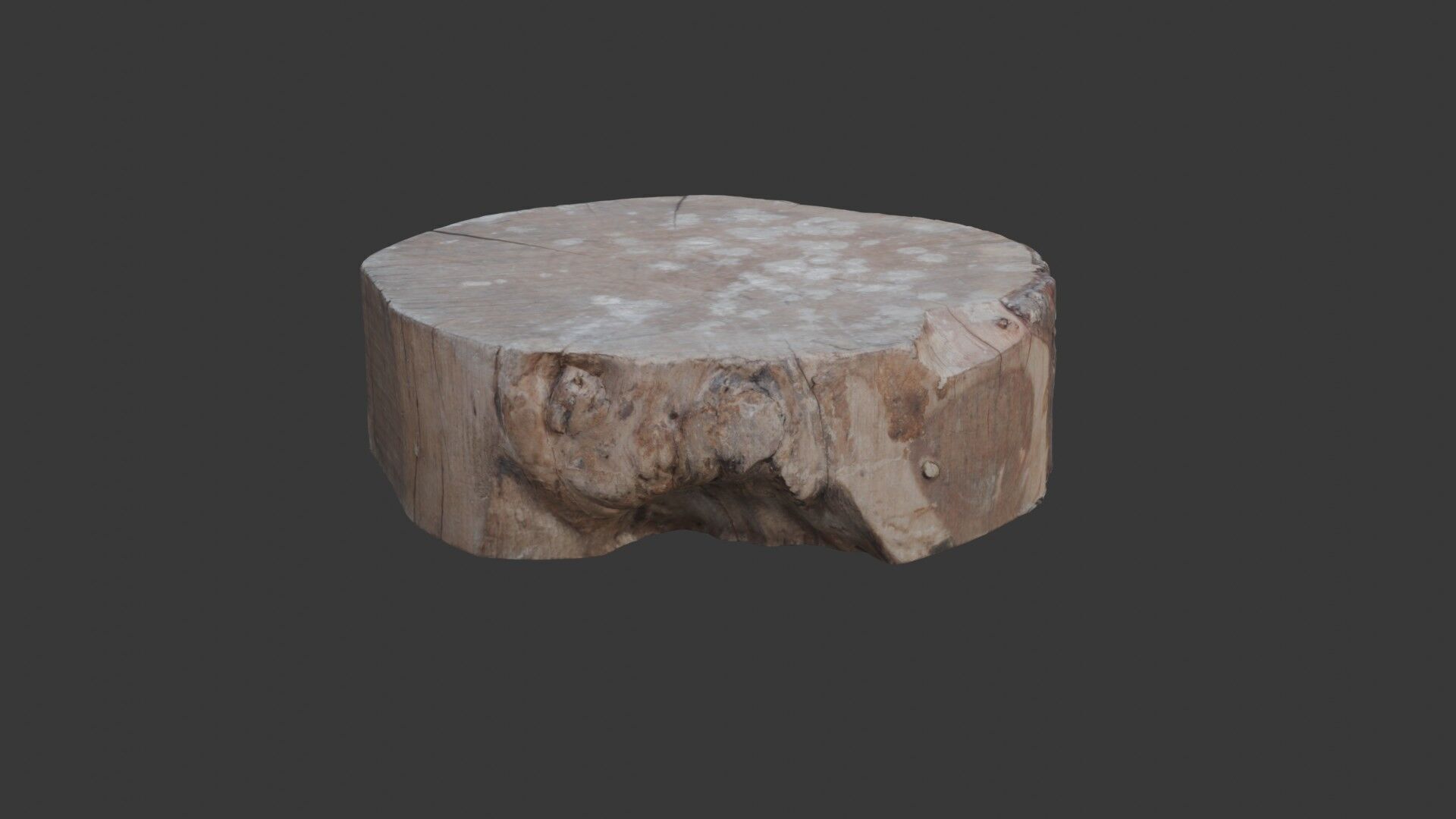 Tree Trunk Stump  3D Scanned Low-Poly Model Low-poly 3D model_1