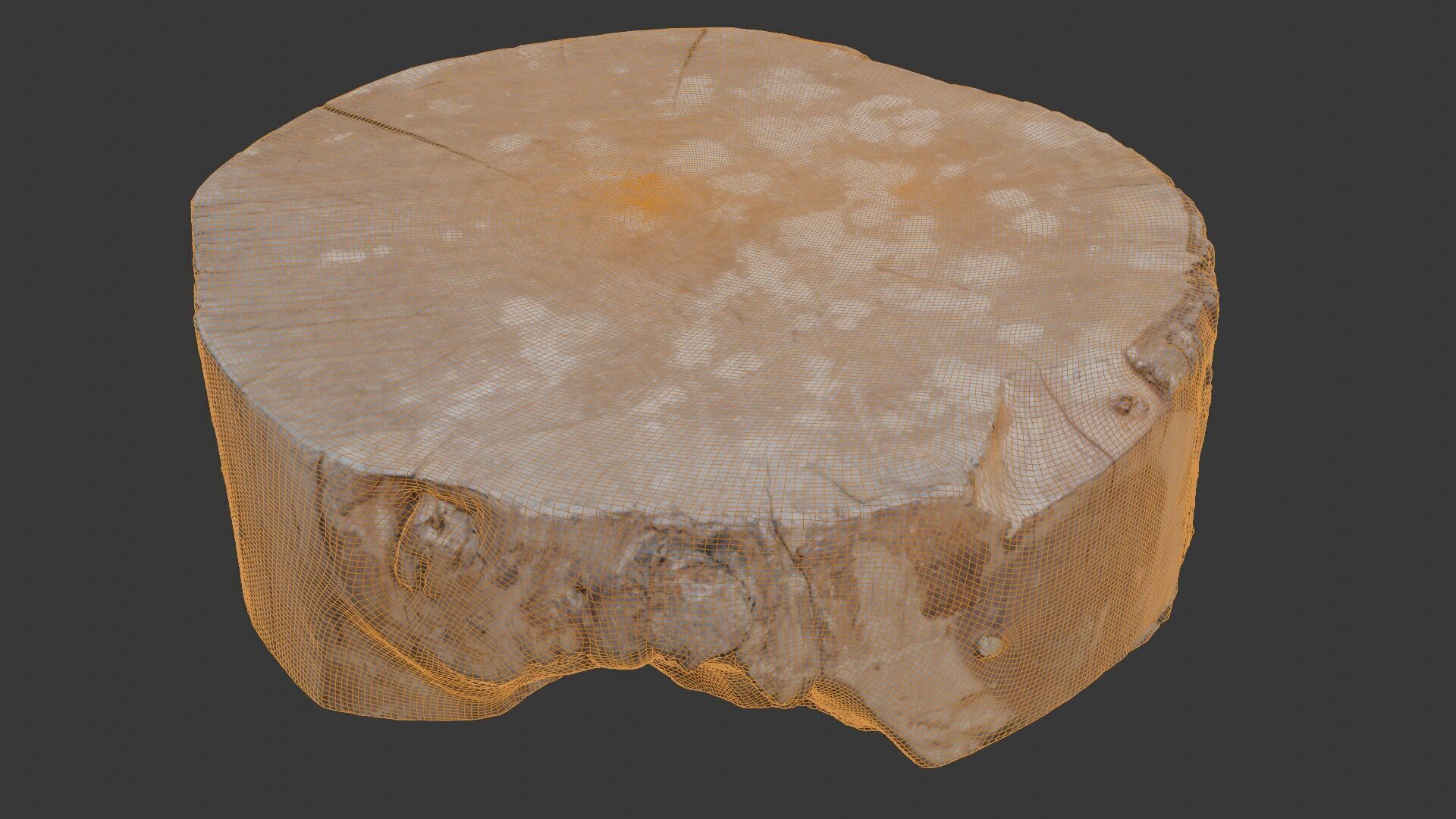 Tree Trunk Stump  3D Scanned Low-Poly Model Low-poly 3D model_2