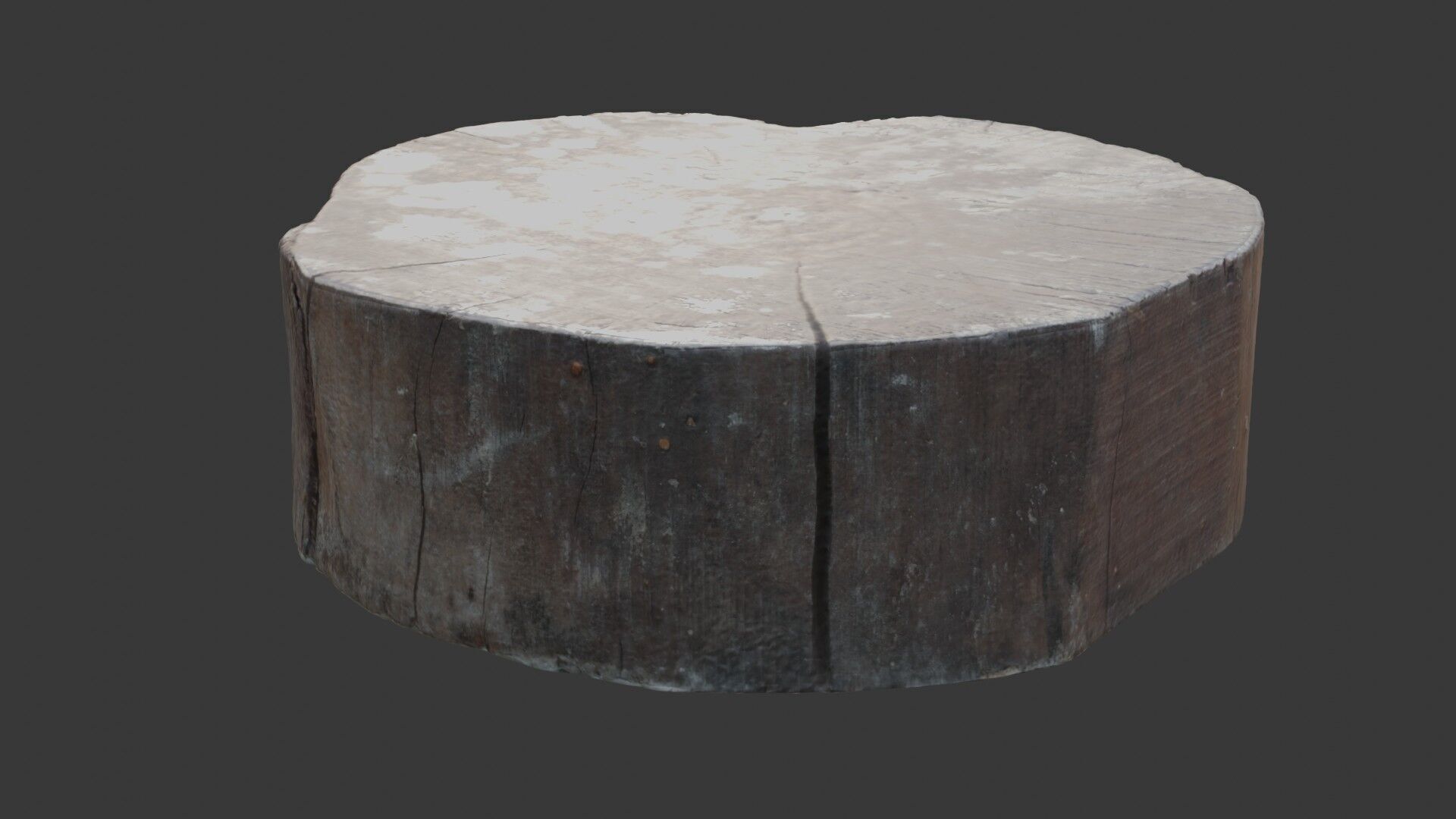 Tree Trunk Stump  3D Scanned Low-Poly Model Low-poly 3D model_6