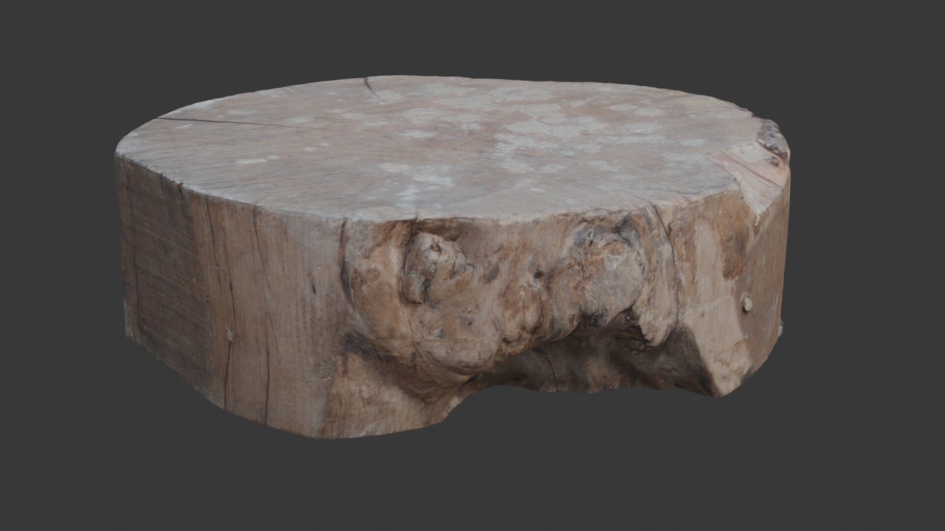 Tree Trunk Stump  3D Scanned Low-Poly Model Low-poly 3D model_3