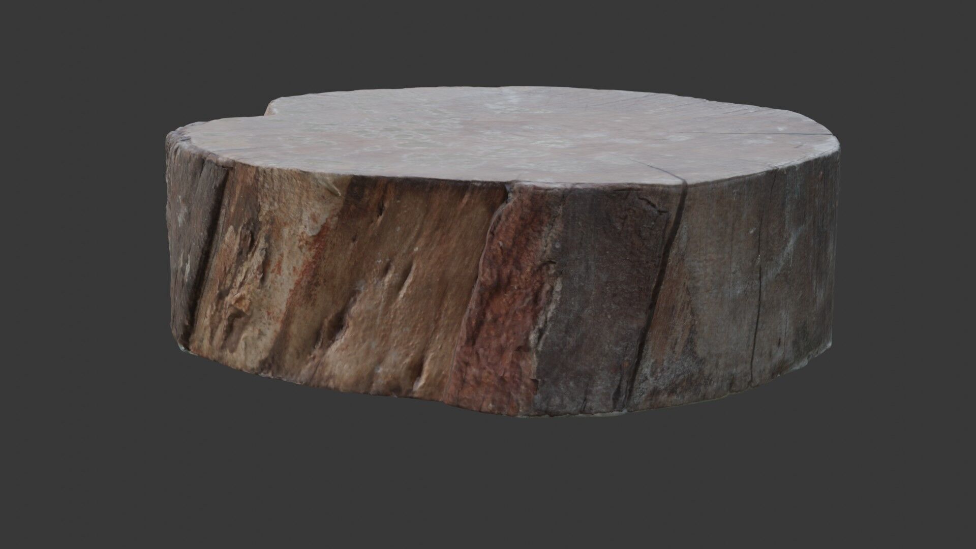 Tree Trunk Stump  3D Scanned Low-Poly Model Low-poly 3D model_7