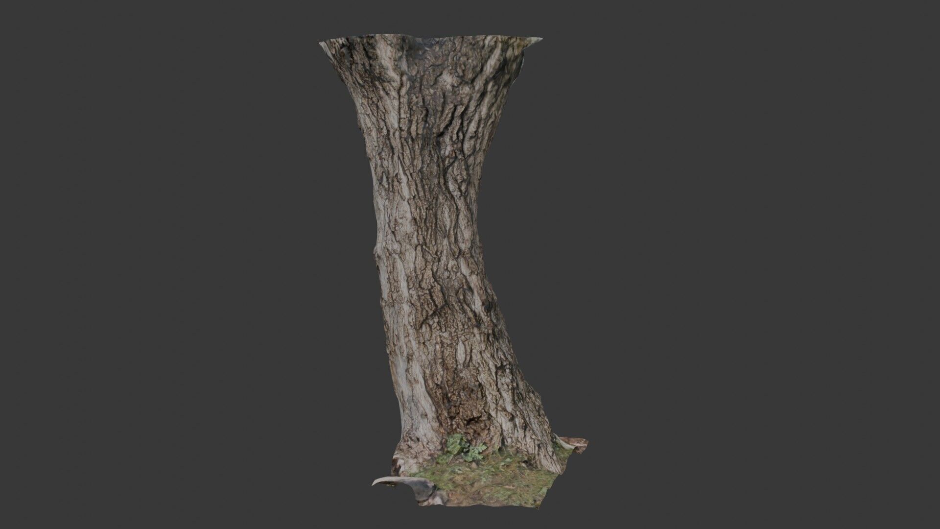 Realistic Tree Trunk  3D Scanned Model Low-poly 3D model_1