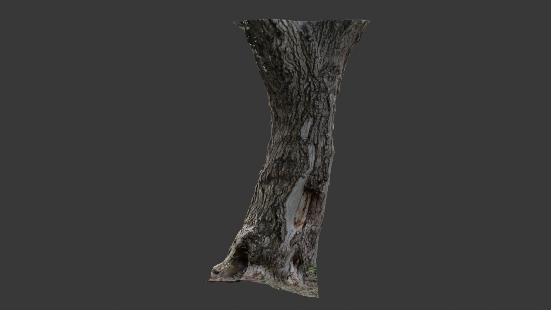 Realistic Tree Trunk  3D Scanned Model Low-poly 3D model_7