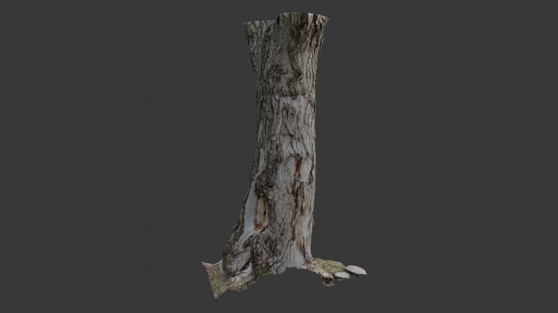 Realistic Tree Trunk  3D Scanned Model Low-poly 3D model_5