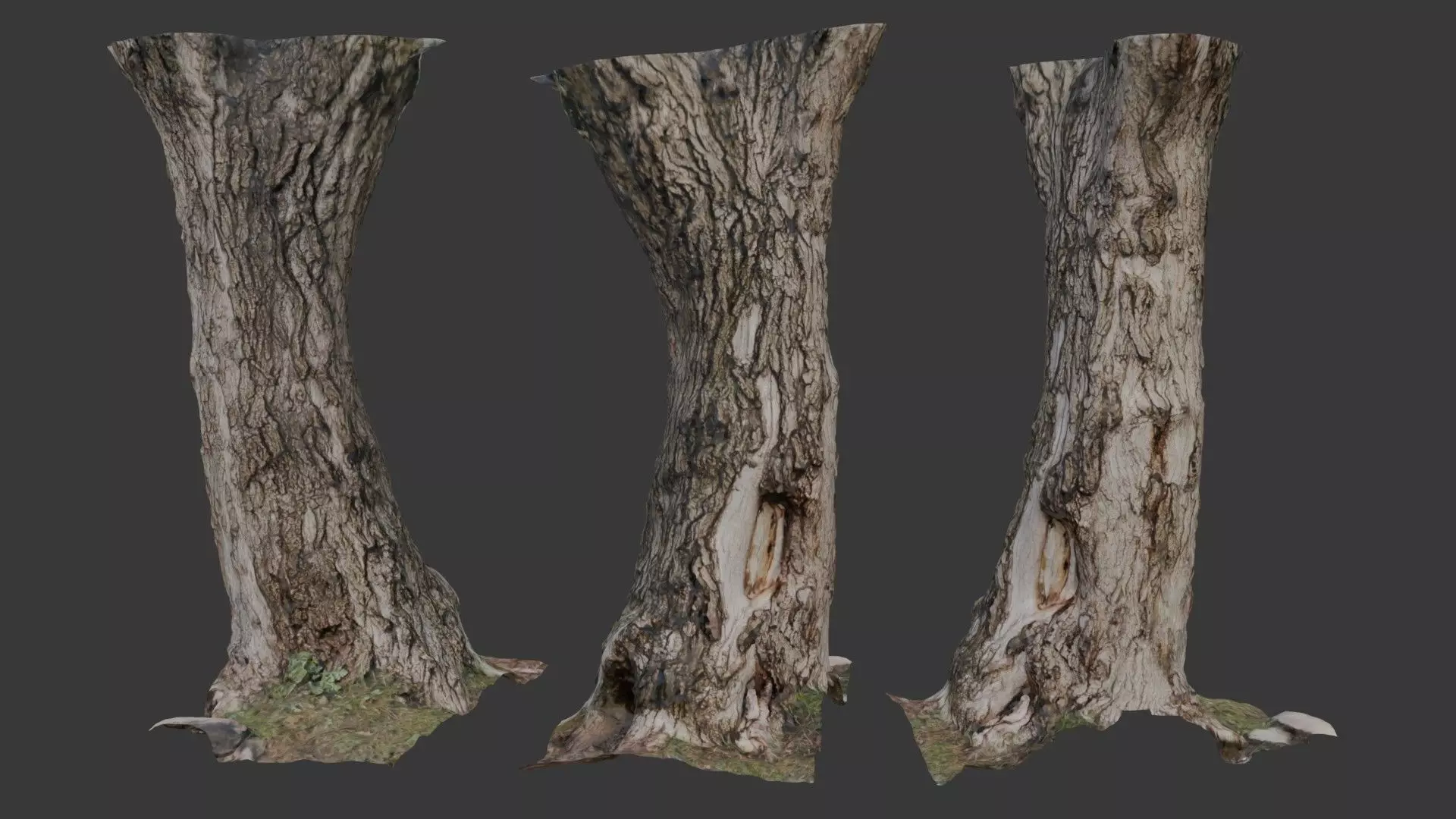 Realistic Tree Trunk  3D Scanned Model Low-poly 3D model_0