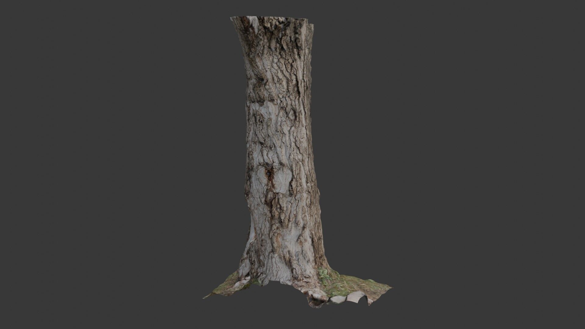 Realistic Tree Trunk  3D Scanned Model Low-poly 3D model_4