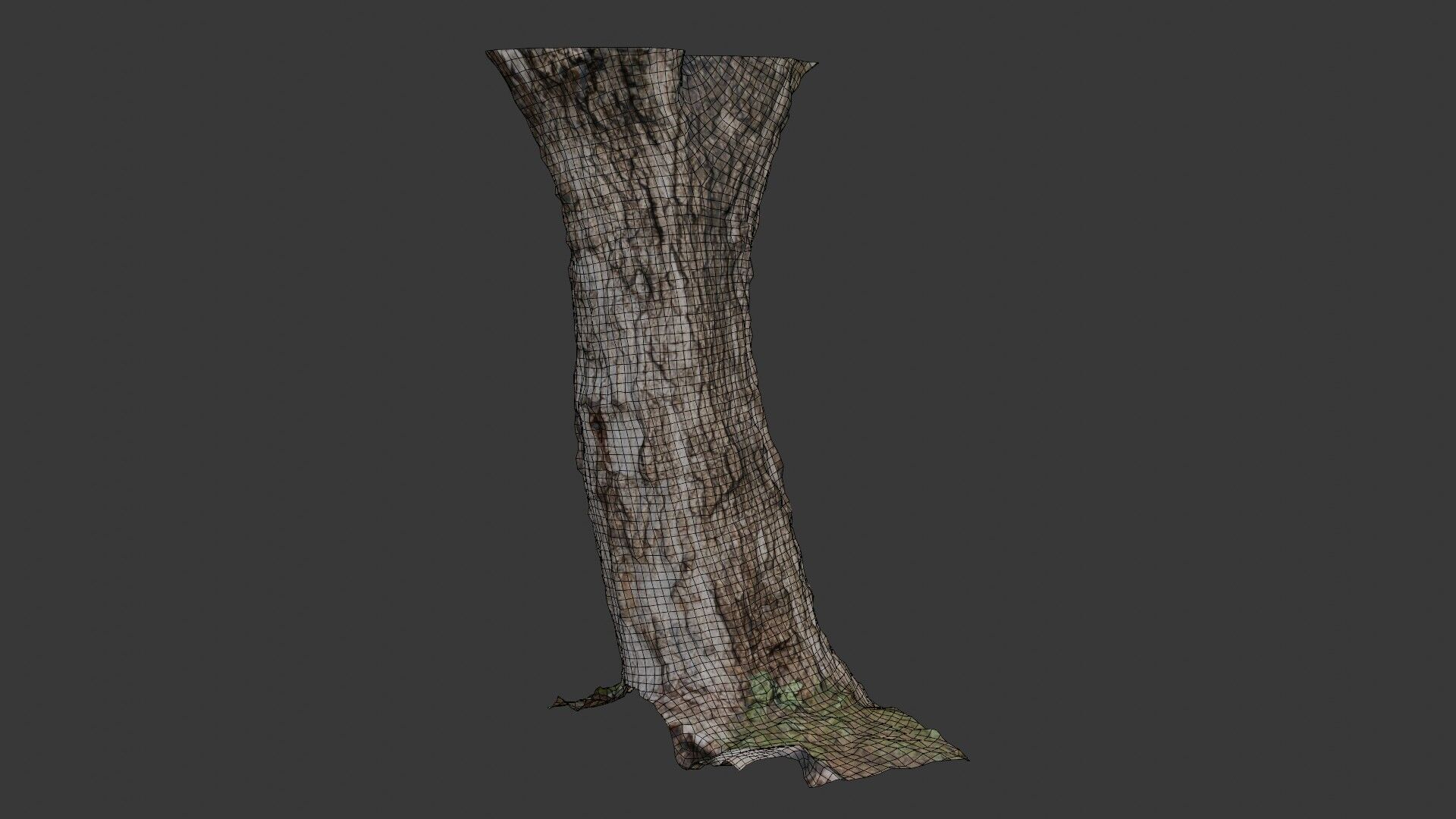 Realistic Tree Trunk  3D Scanned Model Low-poly 3D model_2