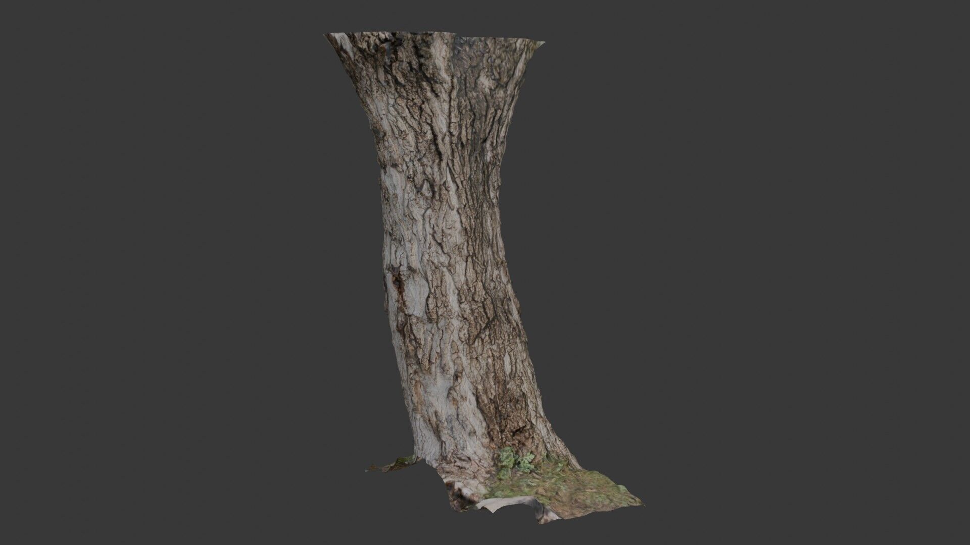 Realistic Tree Trunk  3D Scanned Model Low-poly 3D model_3