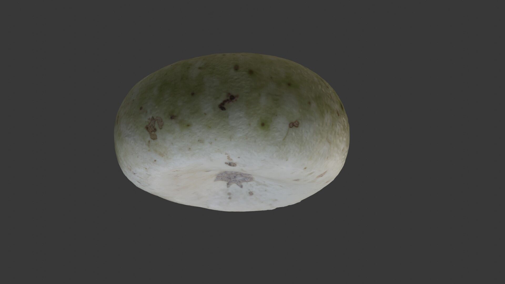 Winter Melon  3D Scanned Model Low-poly 3D model_6