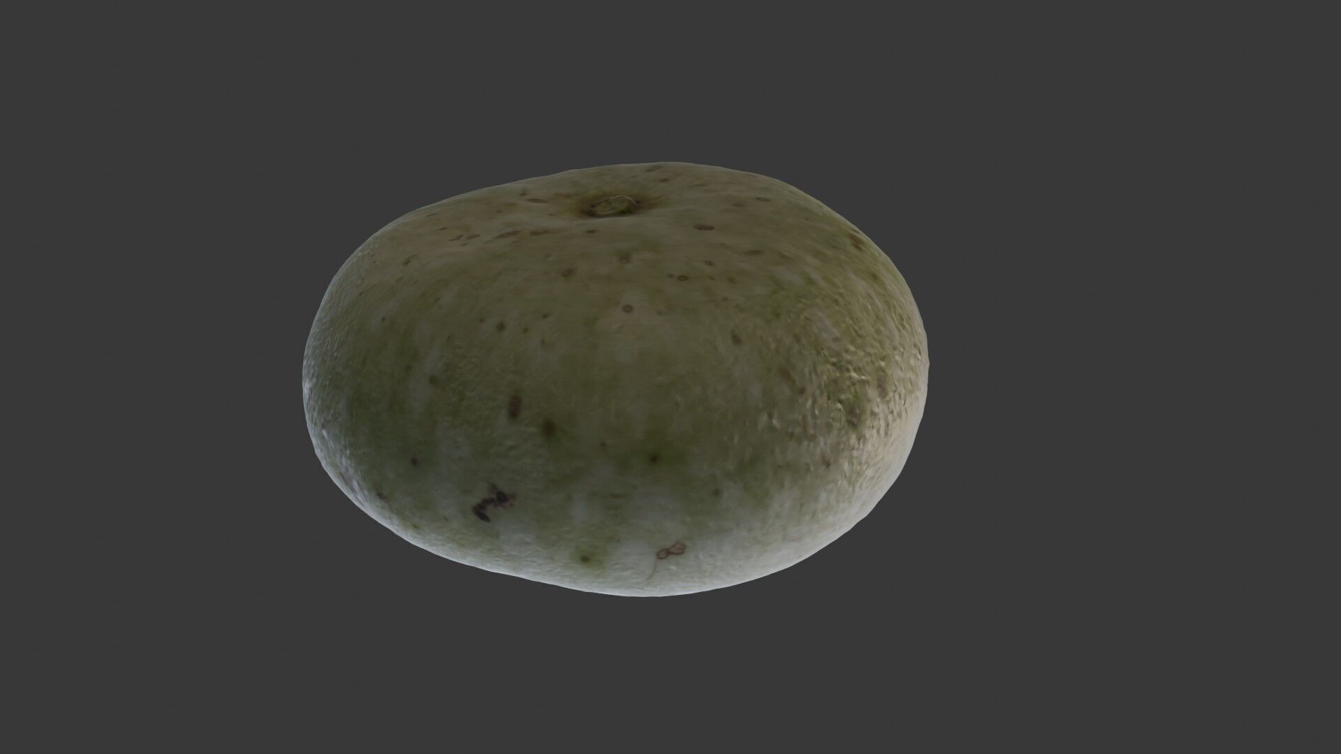 Winter Melon  3D Scanned Model Low-poly 3D model_4