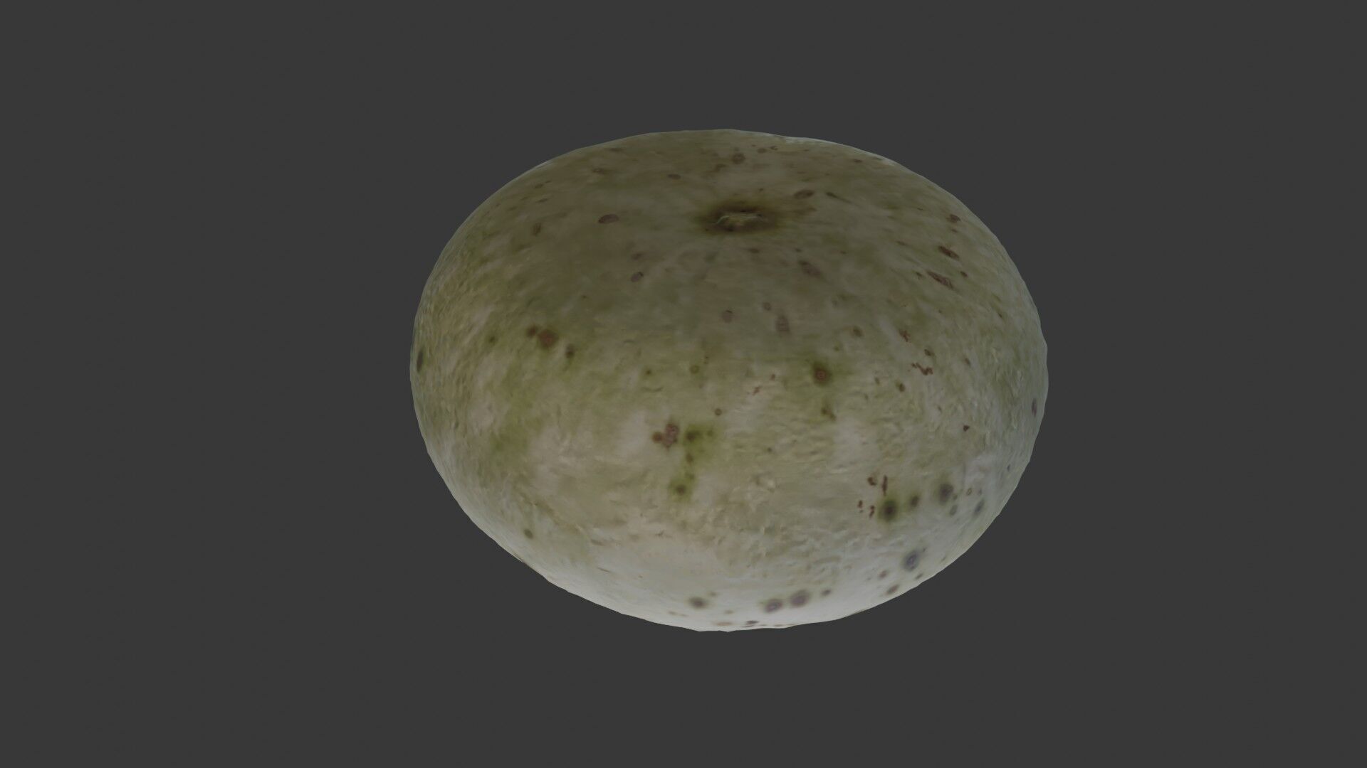 Winter Melon  3D Scanned Model Low-poly 3D model_1