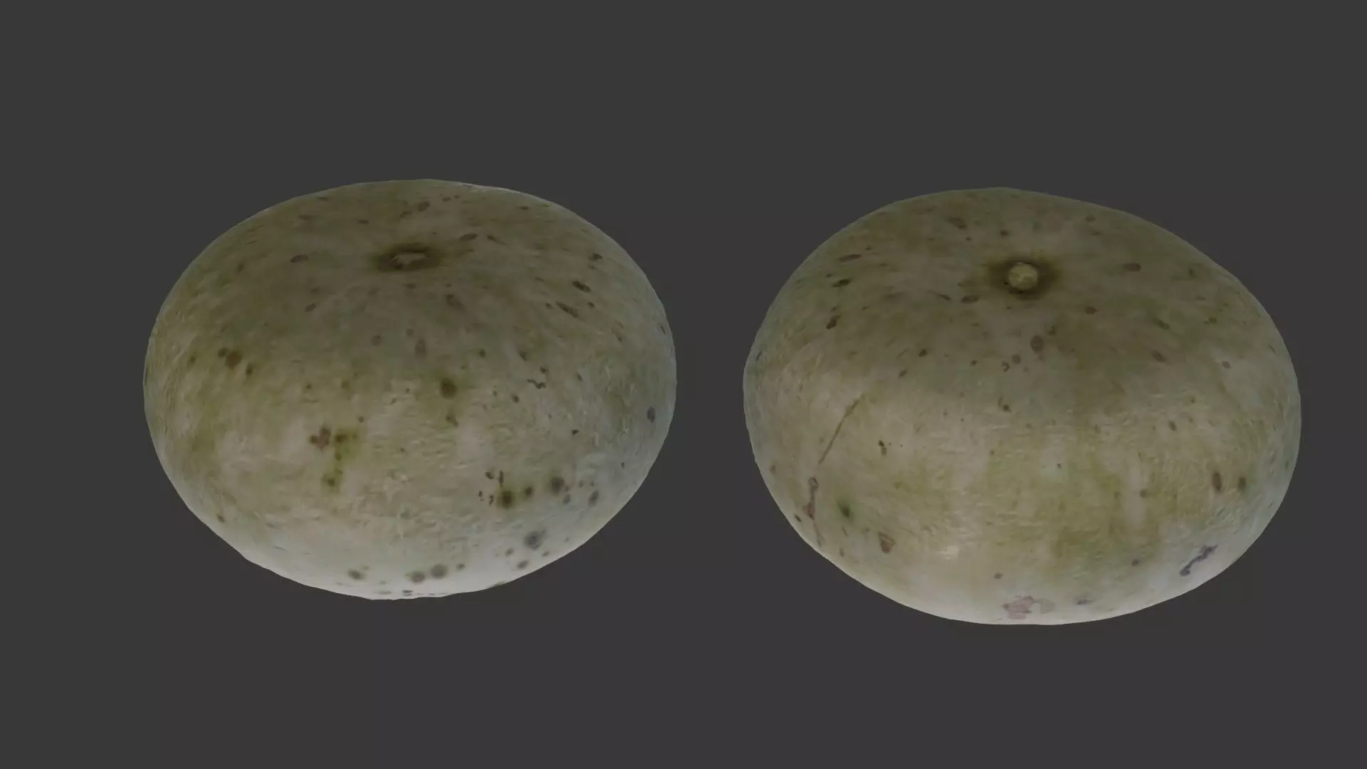 Winter Melon  3D Scanned Model Low-poly 3D model_0