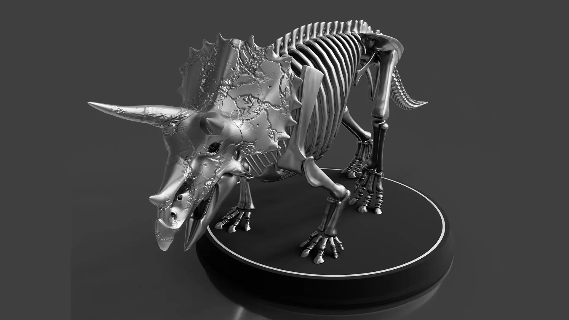 Silver Triceratops Skeleton for Visualization 3D model_0