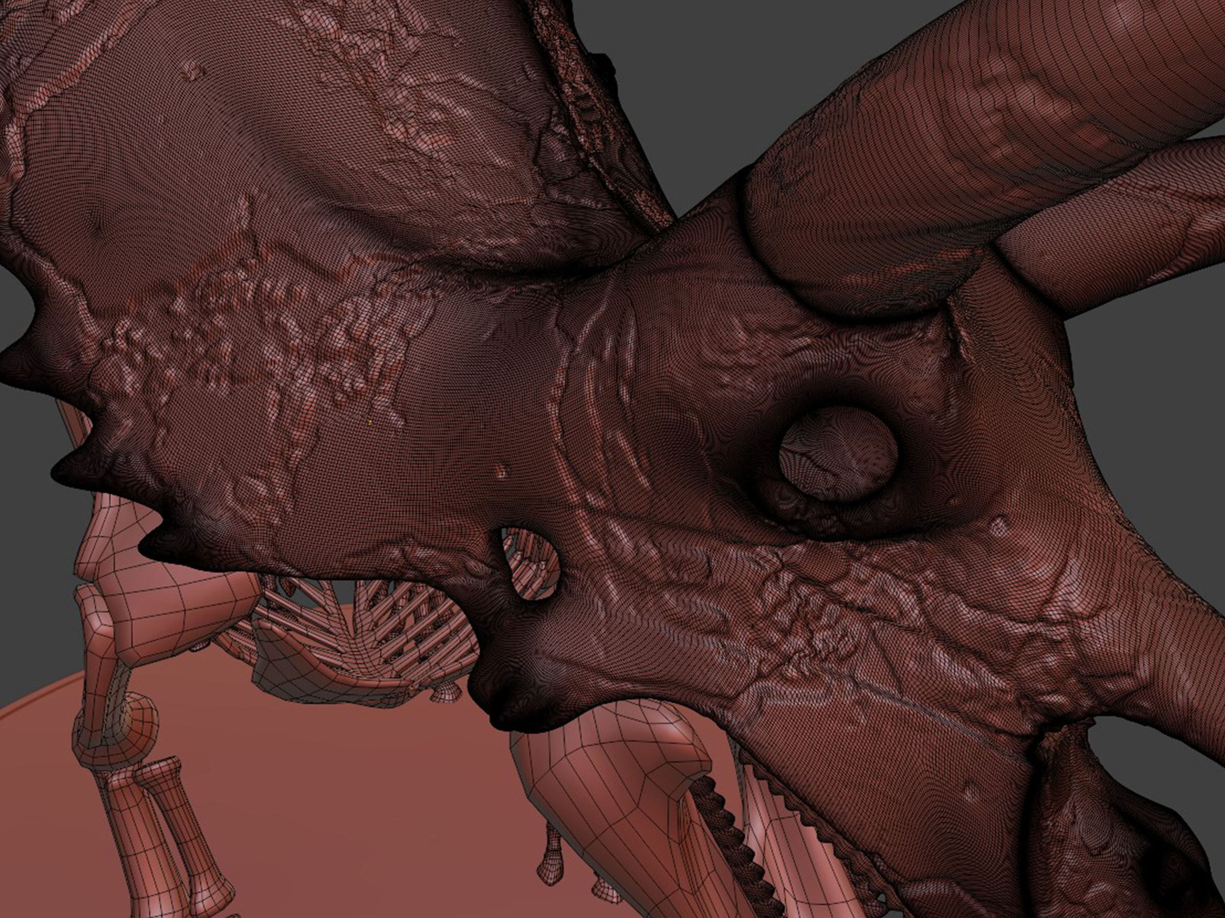 Silver Triceratops Skeleton for Visualization 3D model_9