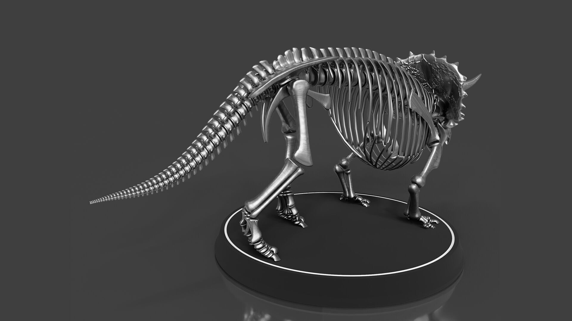 Silver Triceratops Skeleton for Visualization 3D model_3