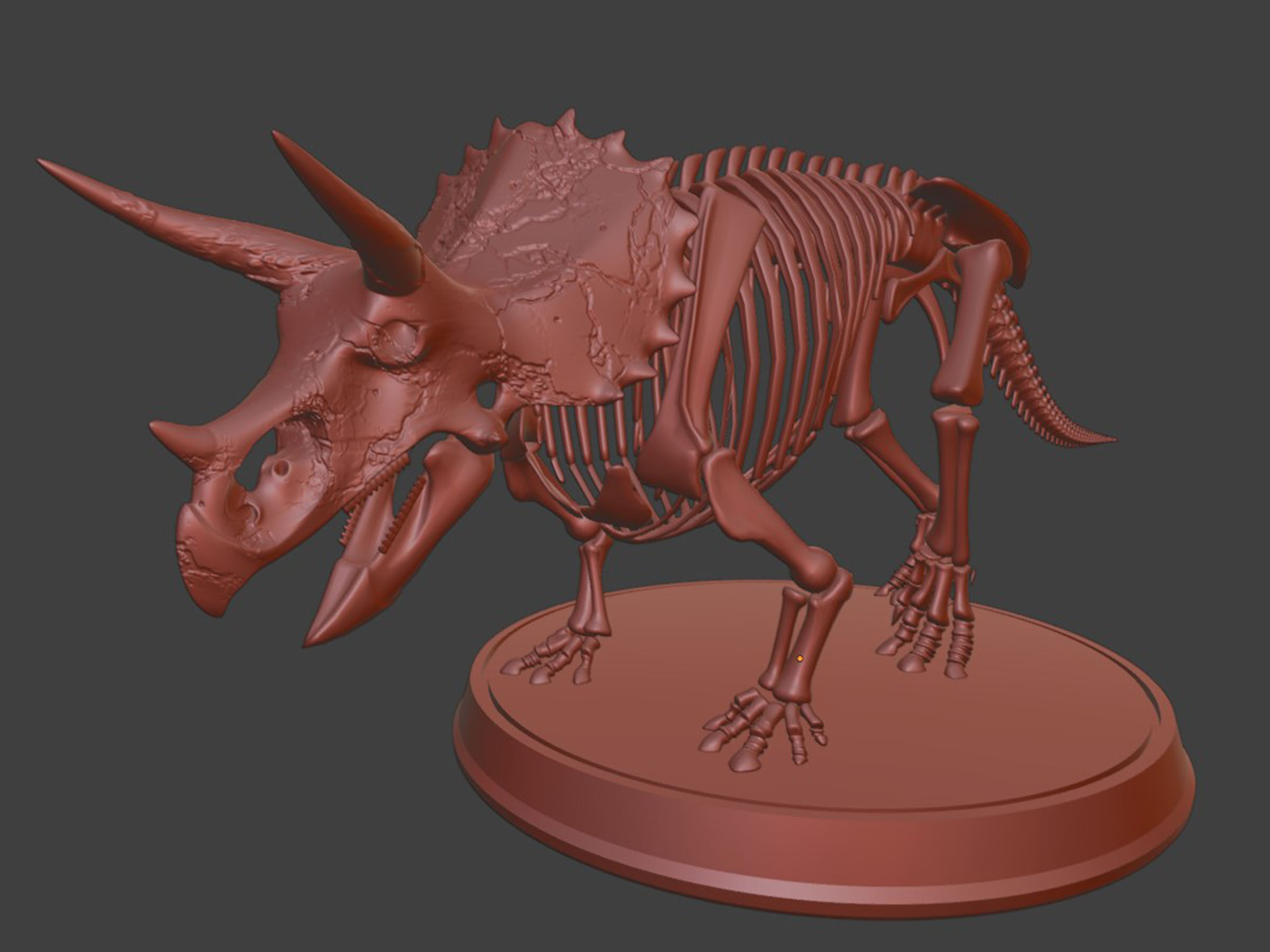 Silver Triceratops Skeleton for Visualization 3D model_6