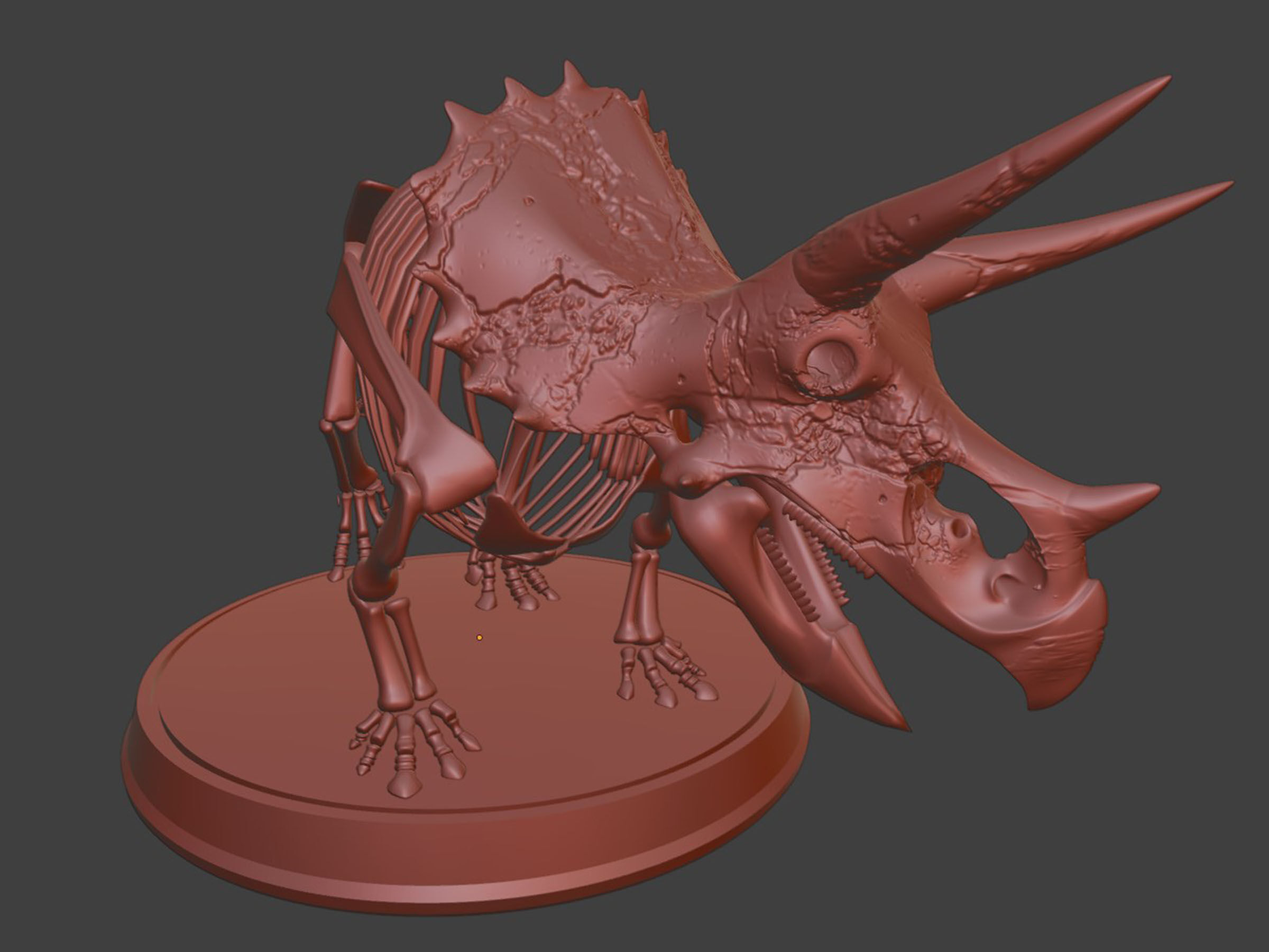 Silver Triceratops Skeleton for Visualization 3D model_8