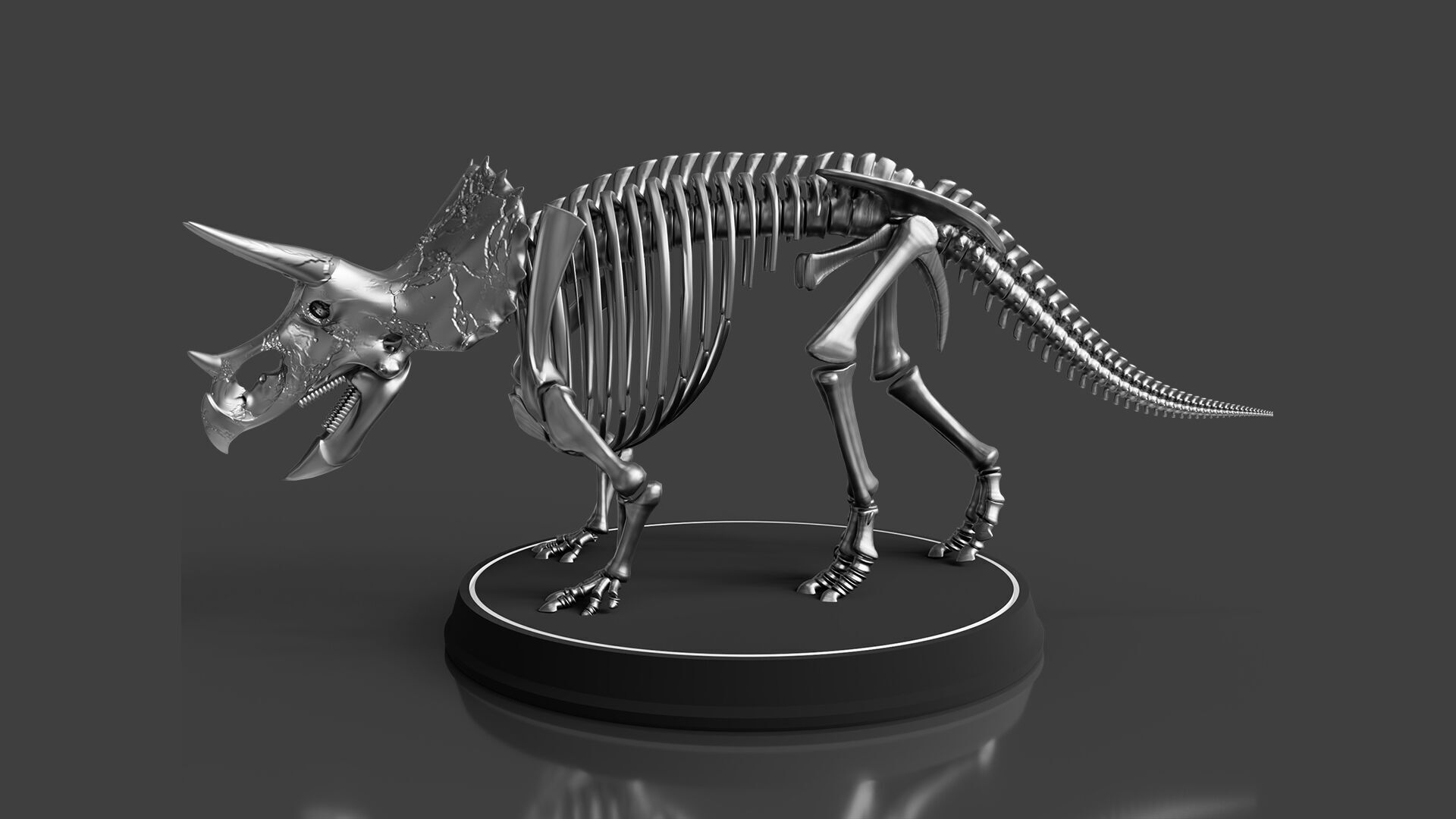 Silver Triceratops Skeleton for Visualization 3D model_1