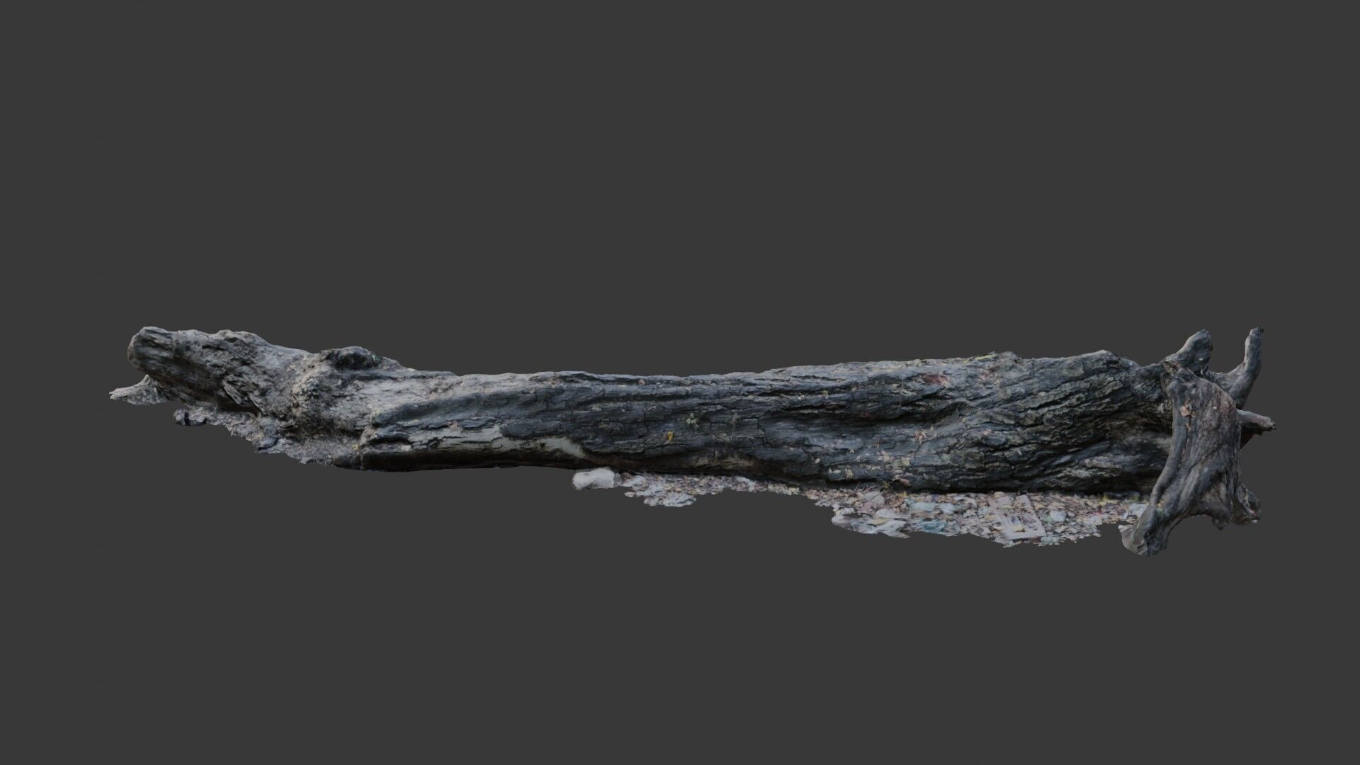Decayed Tree Trunk  3D Scanned Model Low-poly 3D model_1