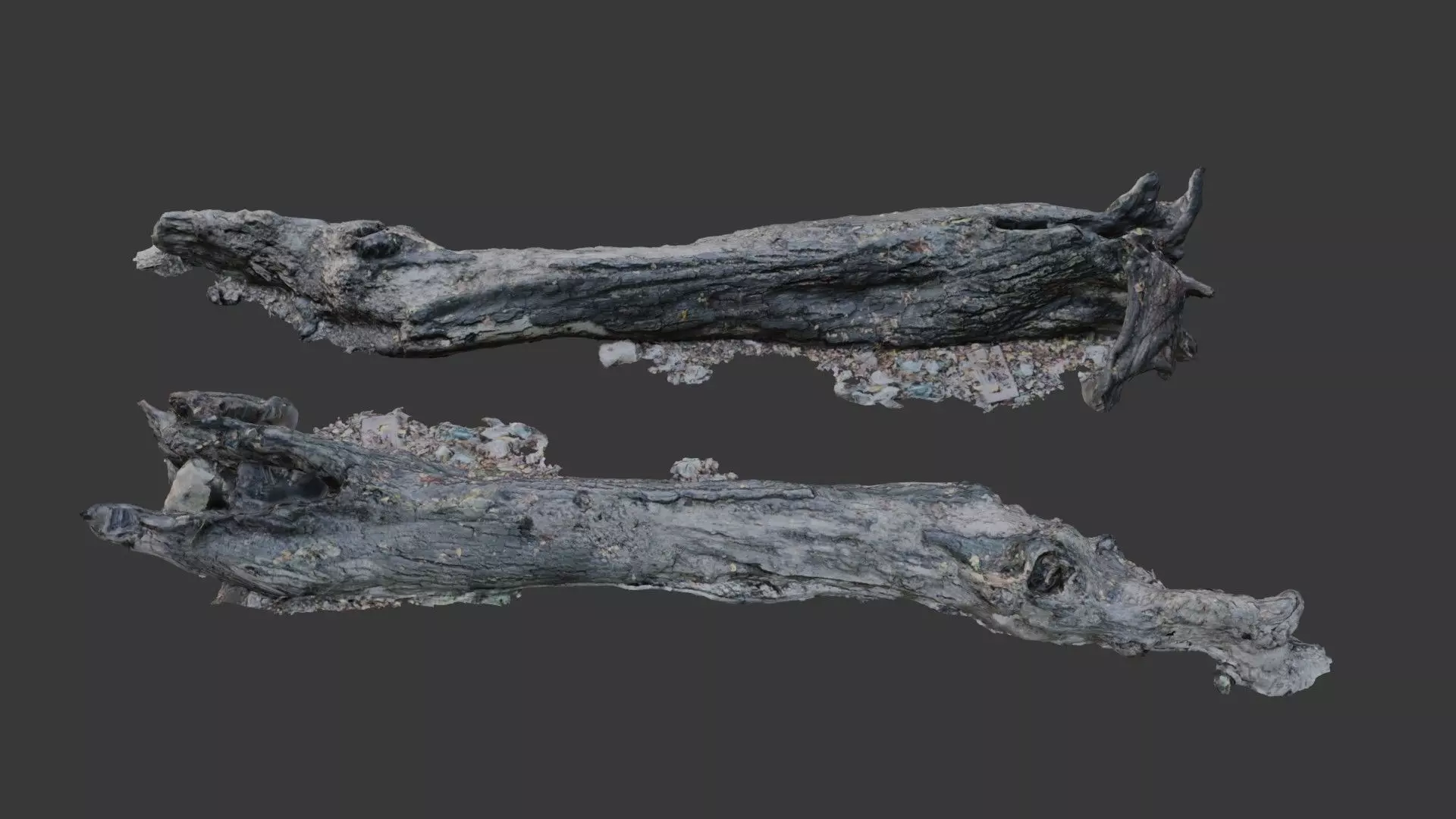 Decayed Tree Trunk  3D Scanned Model Low-poly 3D model_0