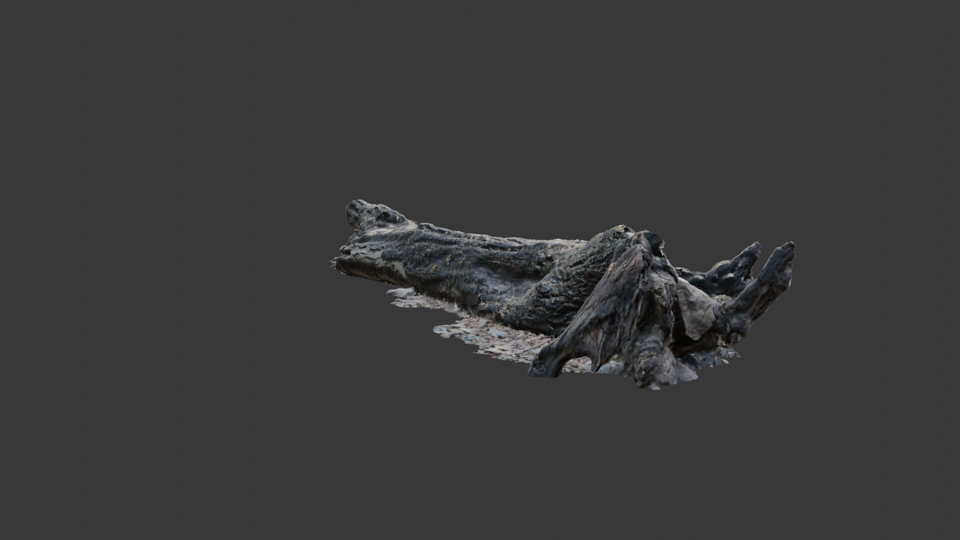 Decayed Tree Trunk  3D Scanned Model Low-poly 3D model_3
