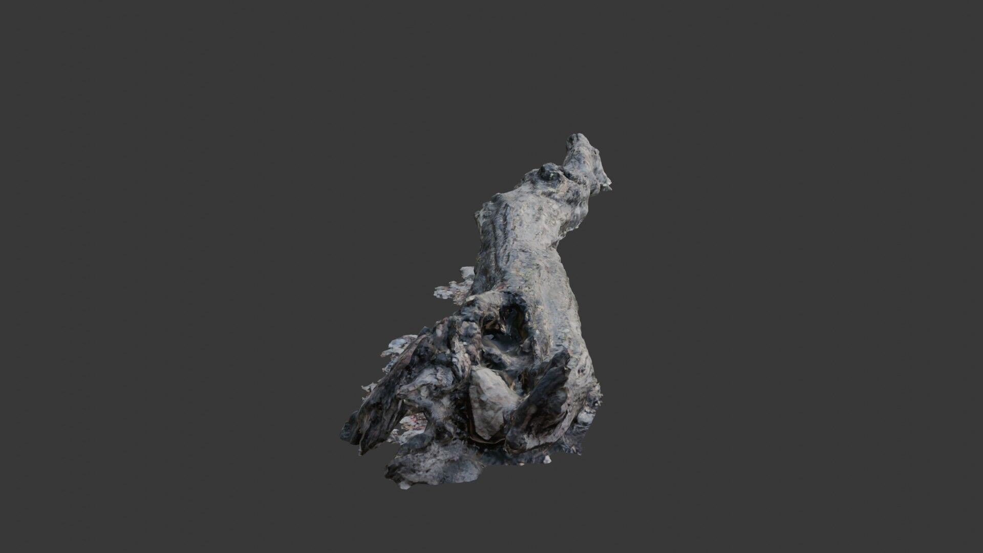 Decayed Tree Trunk  3D Scanned Model Low-poly 3D model_4