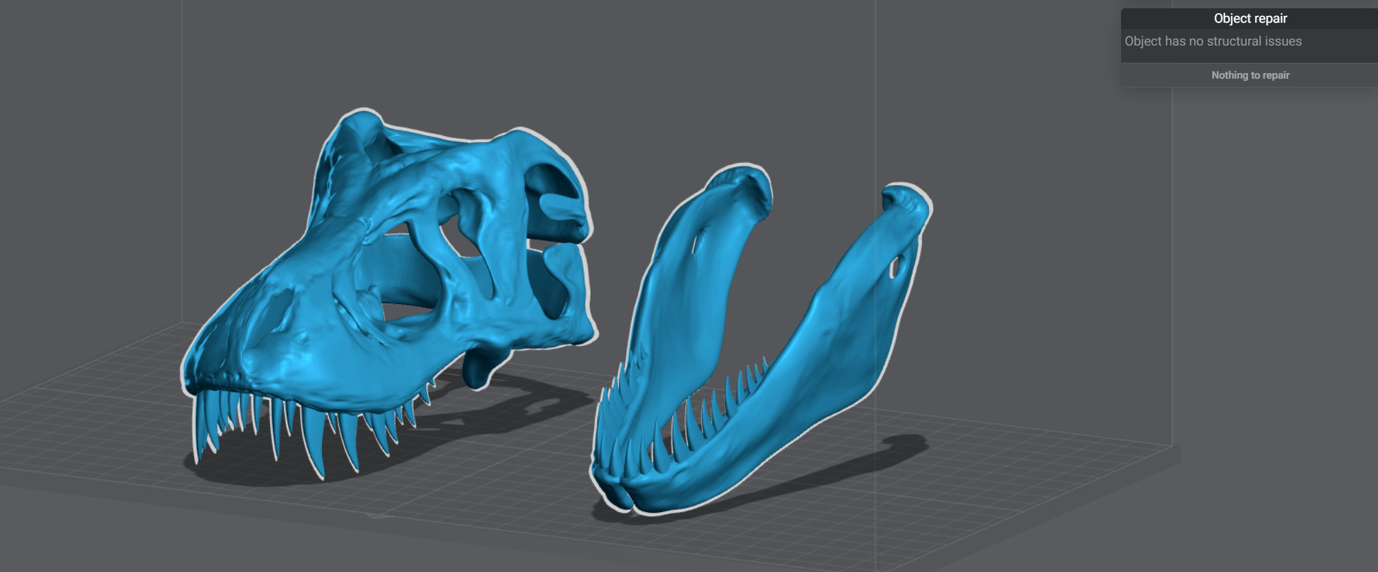 T-rex Skull scale model  3D print model_5