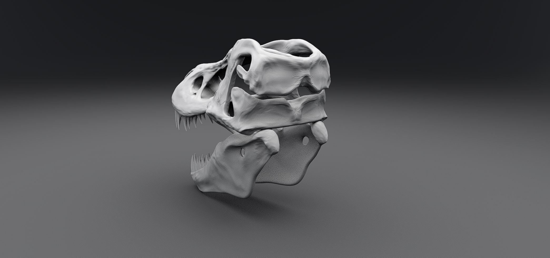 T-rex Skull scale model  3D print model_2