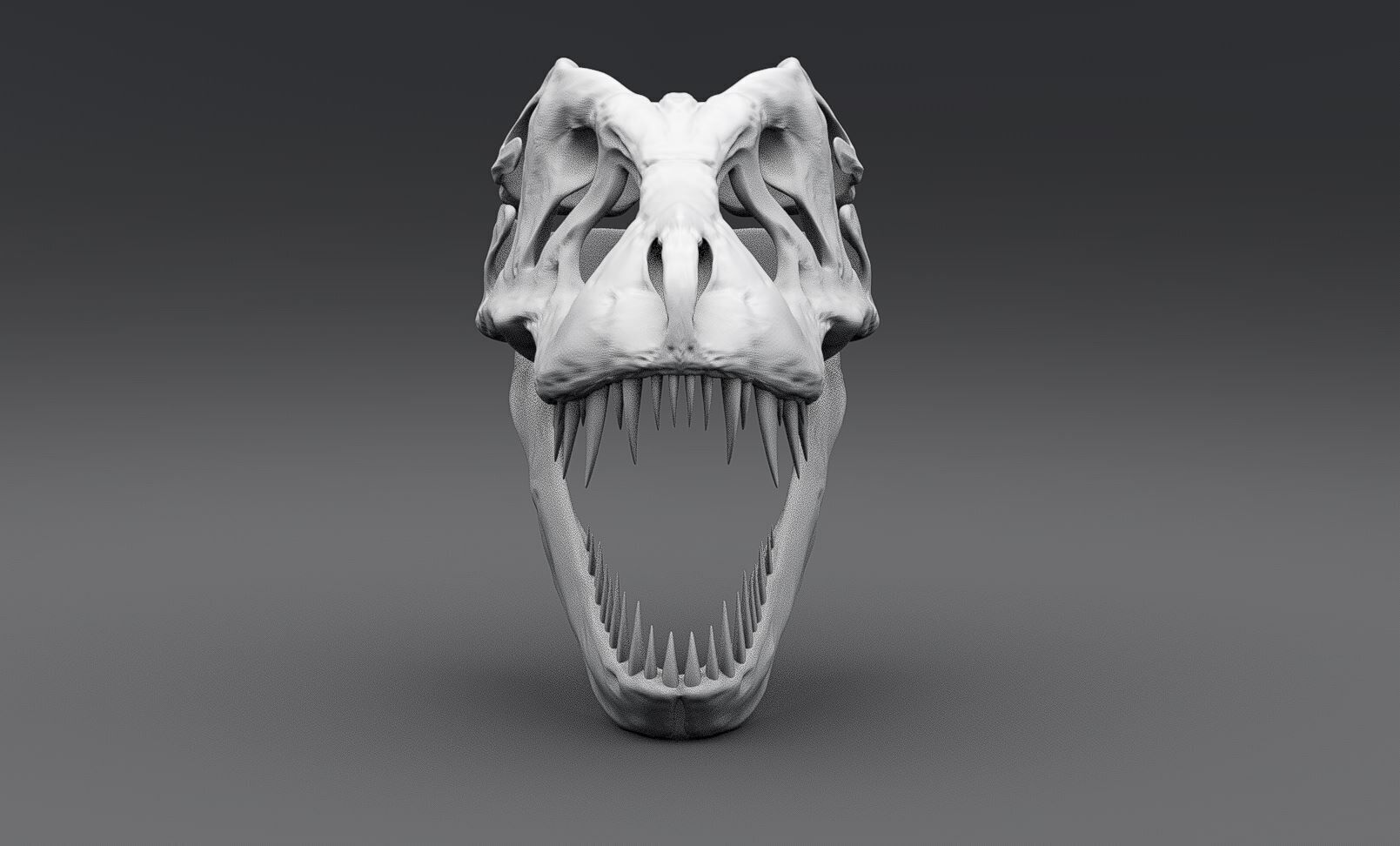 T-rex Skull scale model  3D print model_4