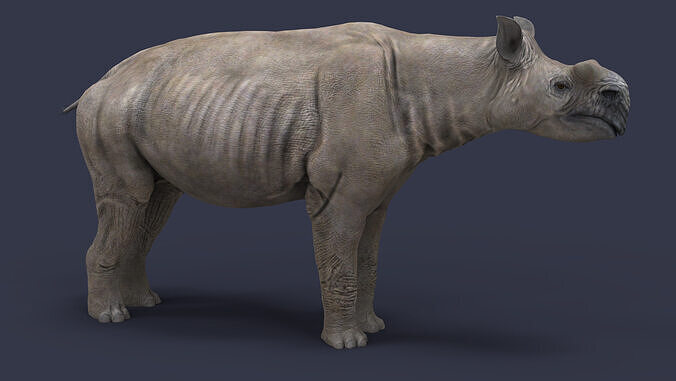 Diplacodon elatus  3D model