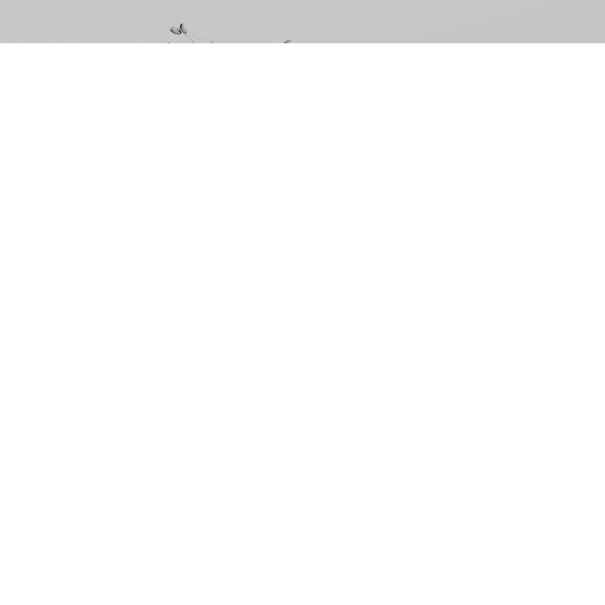 Decorative Set 19 3D model_7